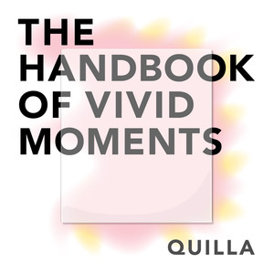 The Handbook of Vivid Moments