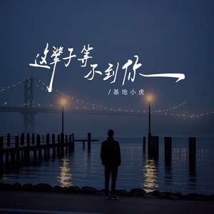 这辈子等不到你