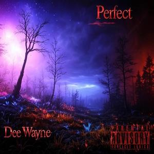 Perfect (Explicit)