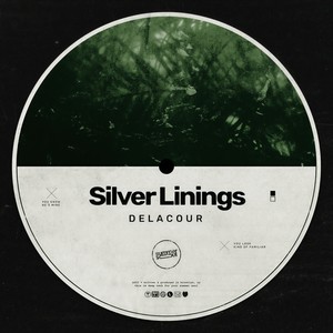 Silver Linings (Extended Version)