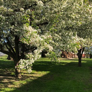 期末要拍电影快速折腾的纯音乐 (Demo)