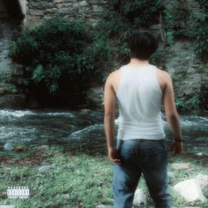 Pepe Animation (feat. astropanxo)