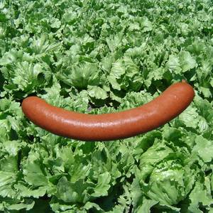 PINK FLOYD WALLEH RUSBE (Live in Sibiu)