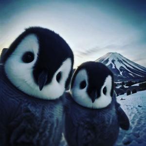 SO APPARENT (Explicit)