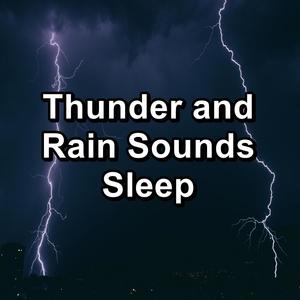 Thunder and Rain Sounds Sleep