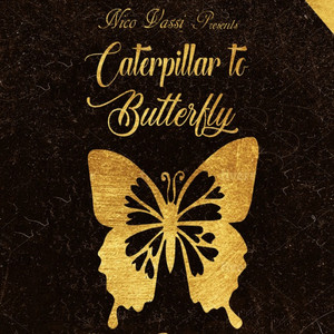 Caterpillar to Butterfly (Explicit)