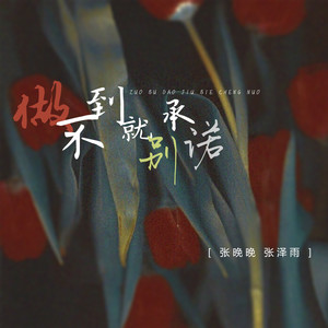 张晚晚 - 做不到就别承诺