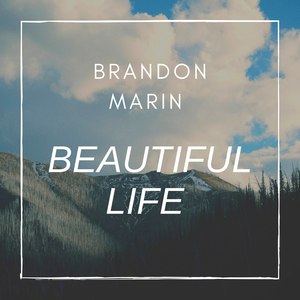 Beautiful Life