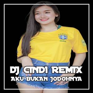 DJ Aku Bukan Jodohnya