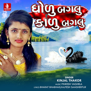 Dholu Bagalu Kalu Bagalu - Single