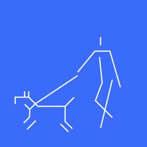 我在水月寺的街上遛着狗