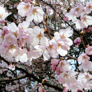 A good day in my life