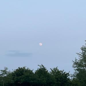 take a sip (Explicit)