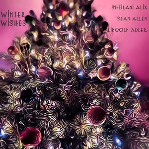 Have Yourself a Merry Little Christmas (feat. Sean Allen & Lincoln Adler)
