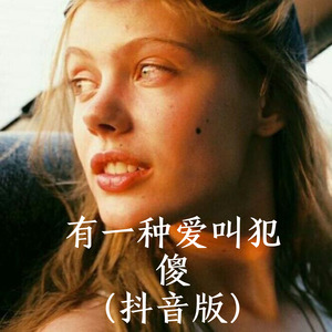 有一种爱叫犯贱 (Remix)