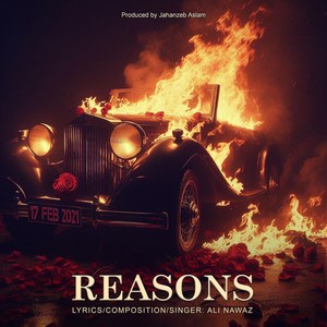 Reasons