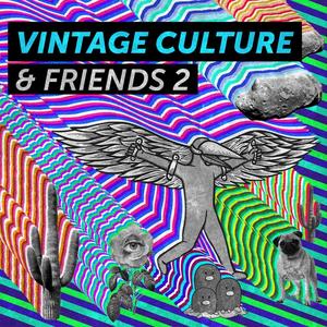 That's Why (Vintage Culture Remix)