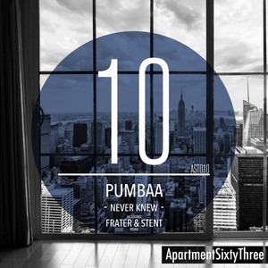 Never Knew (Original Mix)