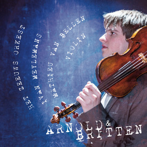 Violin Concerto in D Minor, Op. 15 - II. Vivace - Animando - Largamente - Cadenza -
