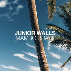 Mambo Brasil (Original Mix)