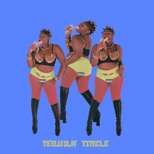 Tequila Tingle (Explicit)