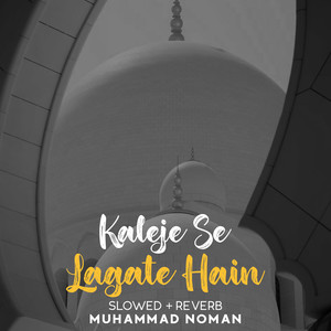 Kaleje Se Lagate Hain Lofi