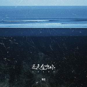 还是会想你 (还是会怪你)