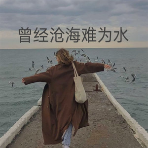 曾经沧海难为水