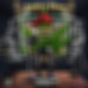 Sativa Flow (Explicit)