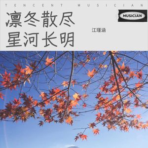 我还有点小糊涂 (Live)