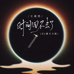 时间回不去了(DJ豪大大版)