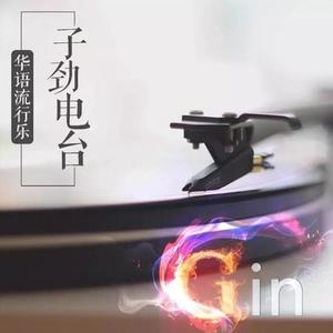 那年夏天，我们的高考记忆(DJ长音频)
