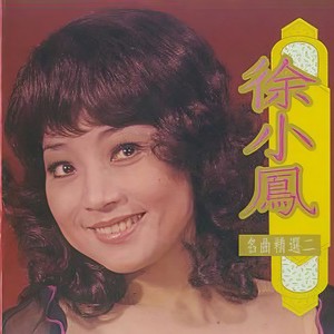 旧梦何处寻封面