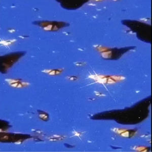 loving u (feat. N.L Dub|Explicit)