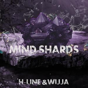 Mind Shards