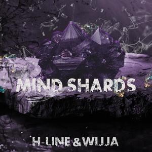 Mind Shards