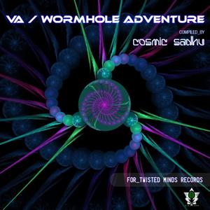 WORMHOLE ADVENTURE