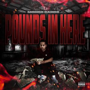 Pounds in Here (Explicit)