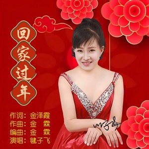 毽子飞 - 回家过年