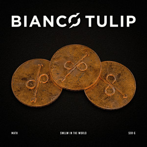 bianco tulip