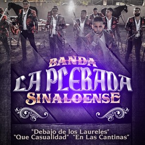 Popurri: Debajo de los Laureles / Que Casualidad / En las Cantinas