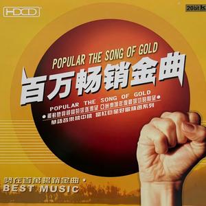 声音的回响 (伴奏)