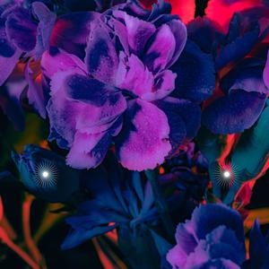 The Measurement's Murmur