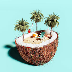 Coconut Tree