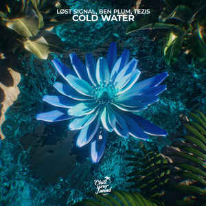 LØST SIGNAL - Cold Water