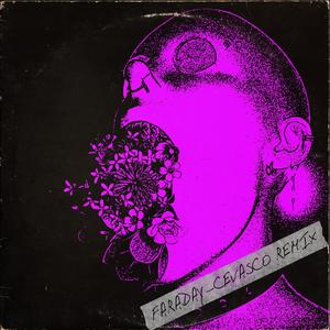 Faraday (Cevasco Remix)