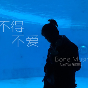 潘玮柏-不得不爱 (CADY耳东 remix)