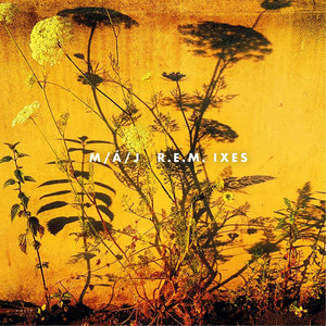 Ranní píseň (Bharata Rajnošek Remix)