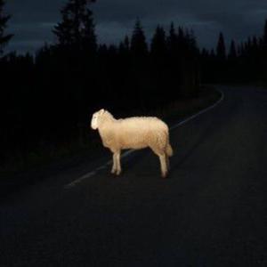 1000 songs (Explicit)