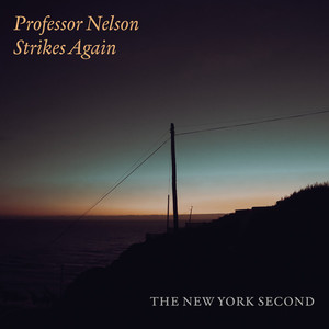 Professor Nelson Strikes Again (Single Version)